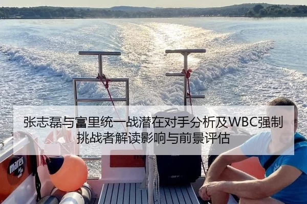 张志磊与富里统一战潜在对手分析及WBC强制挑战者解读影响与前景评估